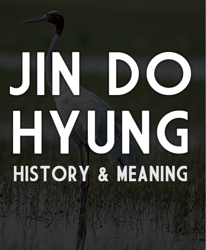 Jin Do Hyung - History and Meaning - Peter Liciaga